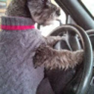 Meet your Posher, Laura